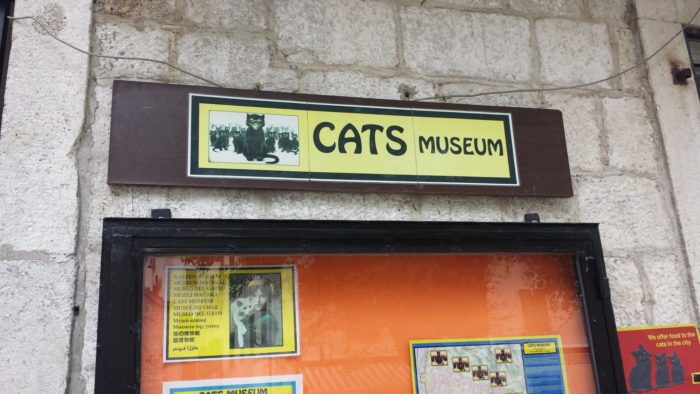 Cat Museum in Kotor