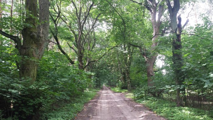Wielkopolski National Park