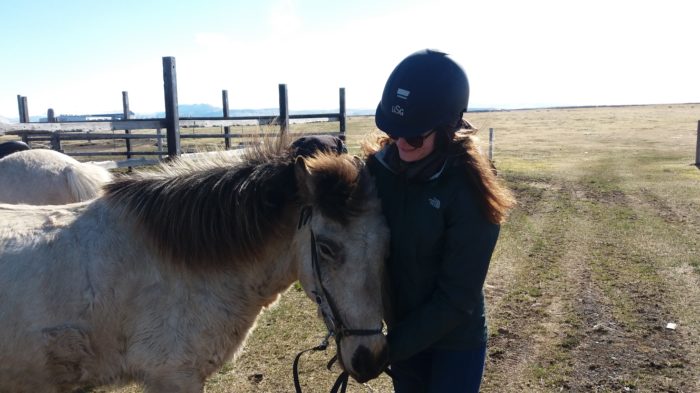 Getting ready to go horse riding in Iceland