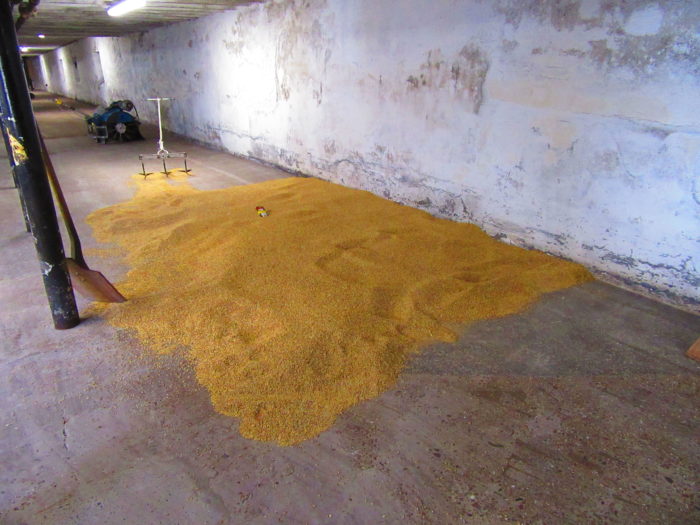 The malting floor at the Highland Park Distillery