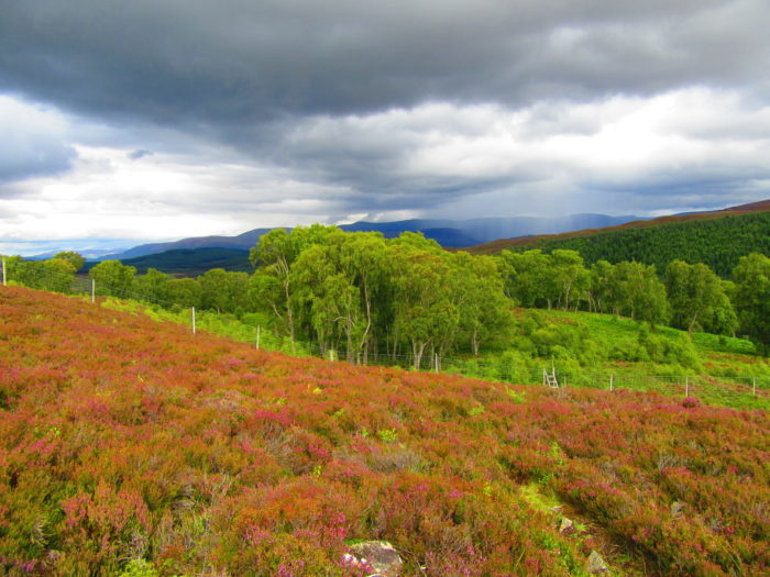Beautiful Scottish countryside