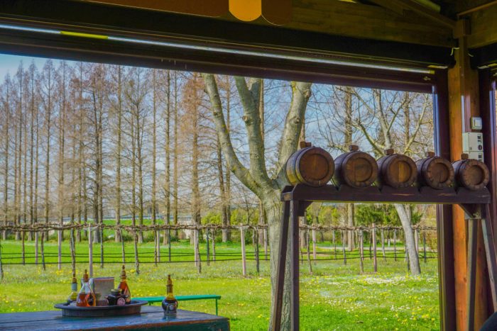 Acetaia Del San Donnino