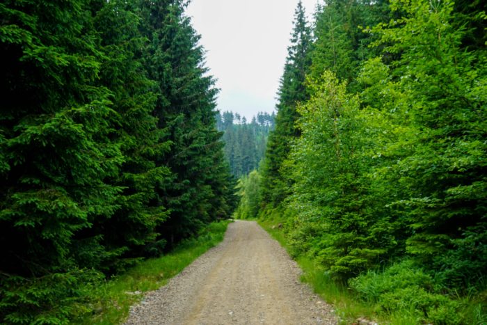 Hiking in the Jeseniky Mountains