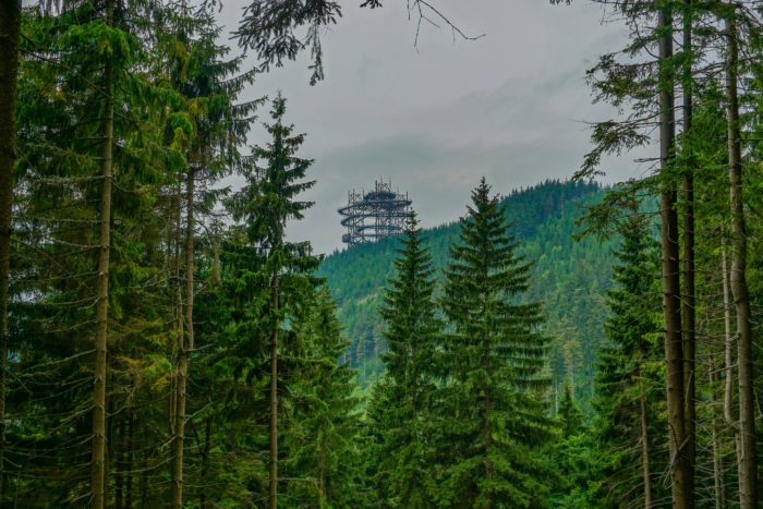 The view of the Sky Walk in the distance