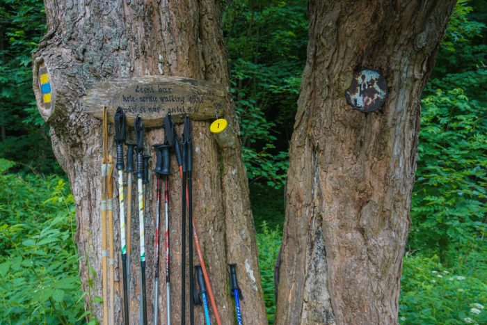 Trekking pole rental on the Lesni Bar trail