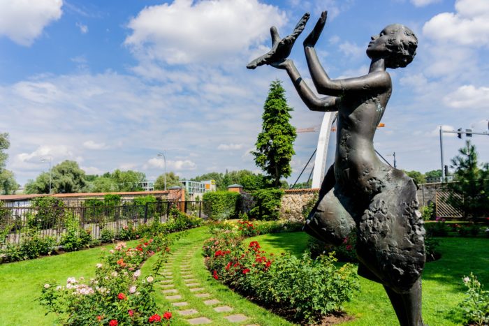 The rose garden at the Tartu Botanical Gardens