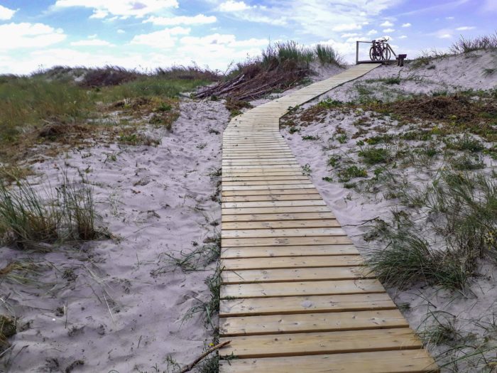 Beautiful sand dunes on the Curonian Spit