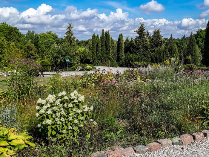 The Klaipeda University Botanical Garden