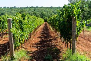 Is Croatia expensive? A Croatia trip cost guide