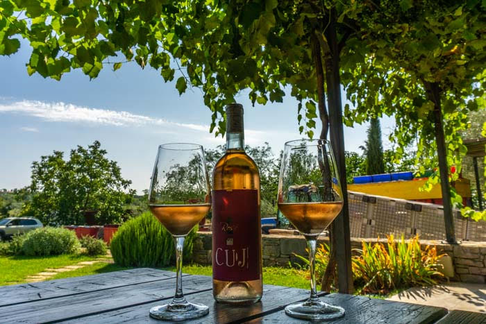 Wine tasting at Cuj Winery near Umag