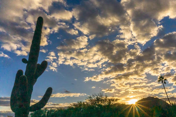 Phoenix sunset behind a saguaro cactus