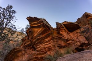The beautiful red rocks of Sedona