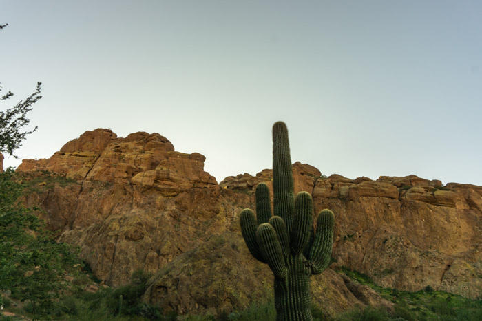There is some beautiful natural scenery within Phoenix