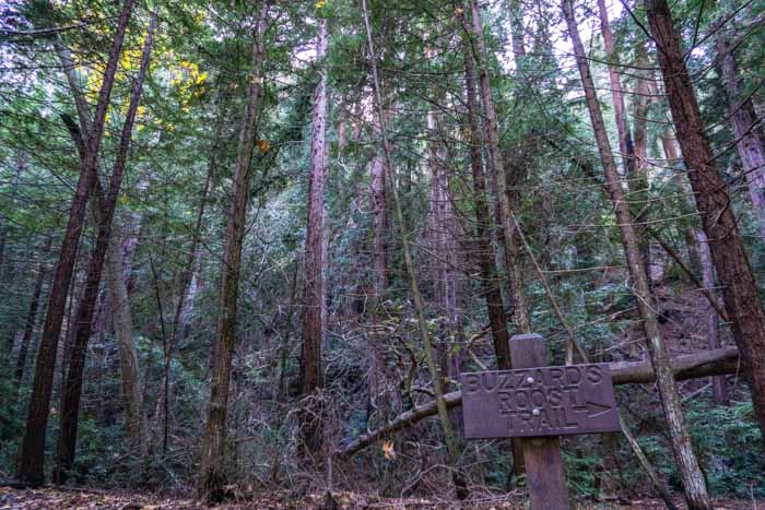 Buzzard's Roost Trail sign
