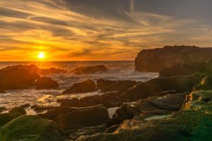 California trip cost