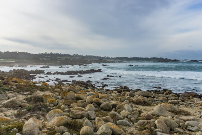 Viewpoint on the 17-mile drive in Monterey