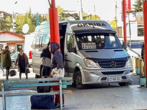 Georgia or Armenia or Azerbaijan