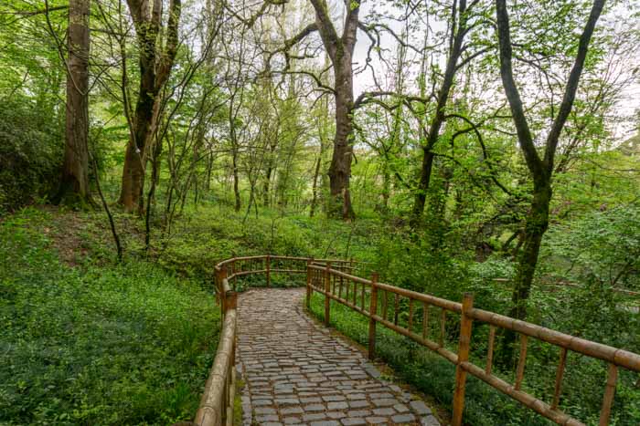 The lush Kutaisi Botanical Garden