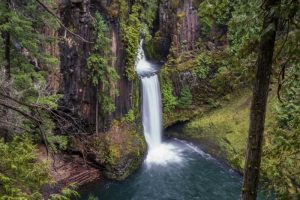 Toketee Falls: Stop on the San Francisco to Seattle Drive