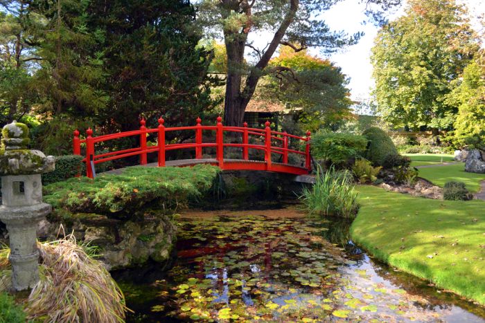 Red Bridge at the Irish National Stud