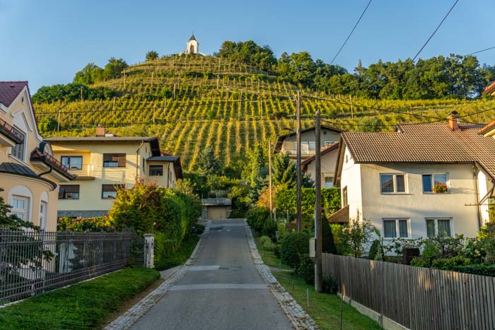 Pyramid Hill in Maribor