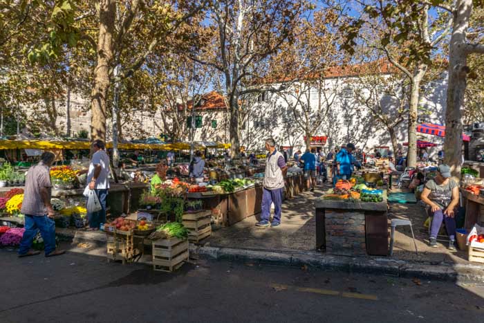 The Green Market
