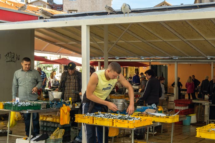 Split's Fish Market