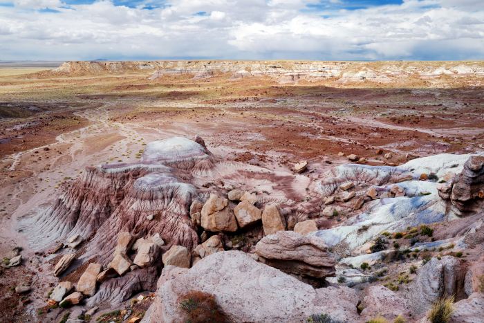 Stunning petrified wood in the Petrified Forest National Park