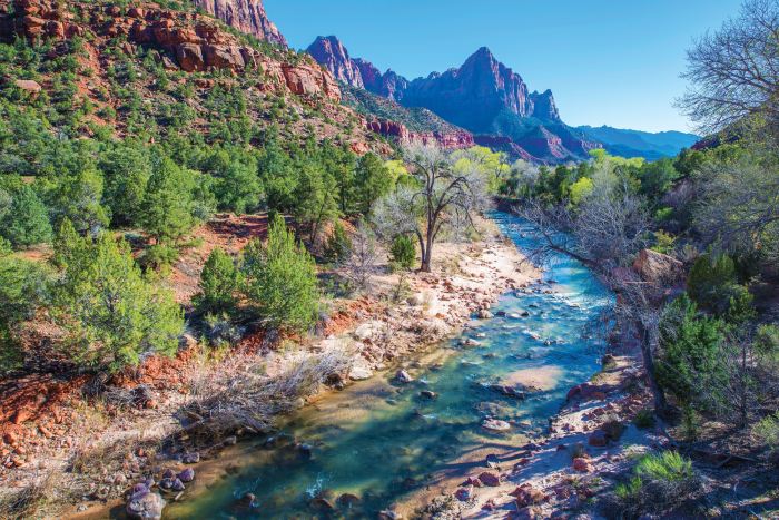 The Virgin River in Zion National Park