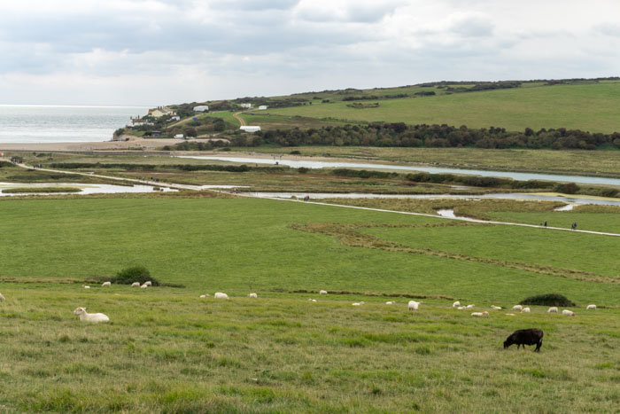 Walking along the Cuckmere River