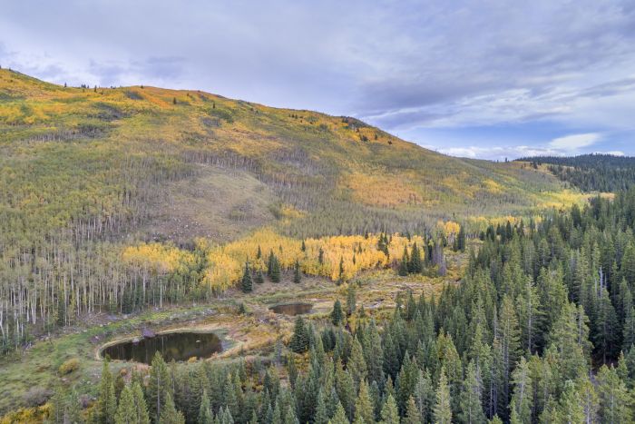 Scenery in the Kenosha Pass