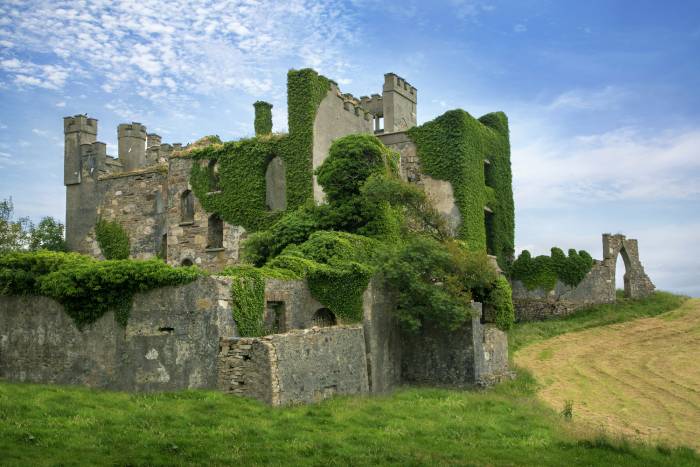 Clifden Castle