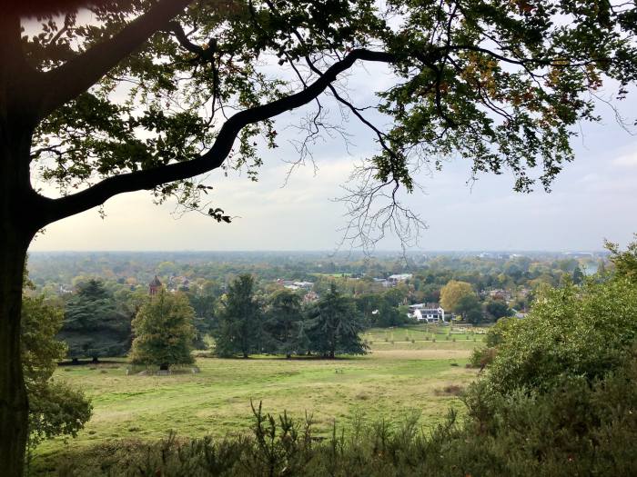 Views from Richmond Park