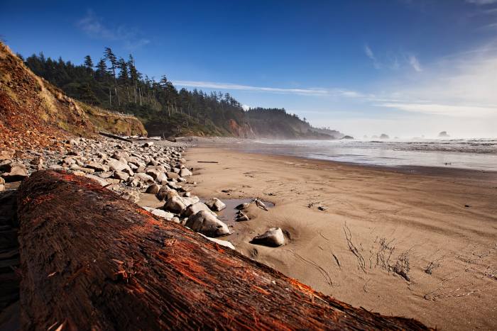 Beautiful coastline in Ecola State Park