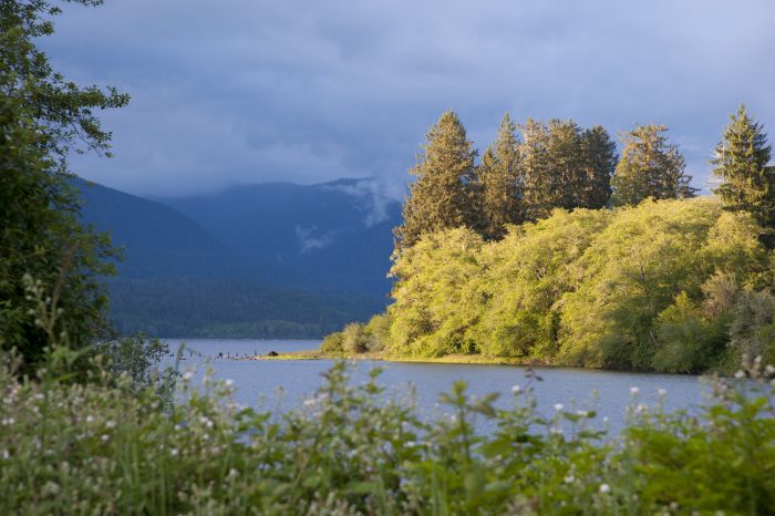 Lake Quinault