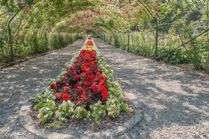Urban Garden in Point Defiance Park