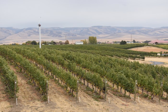 Walla Walla Valley