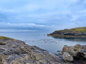 Rocky coastal of Friday Harbor