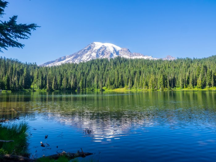 Iconic view of Mt Rainier from Reflection Lakes