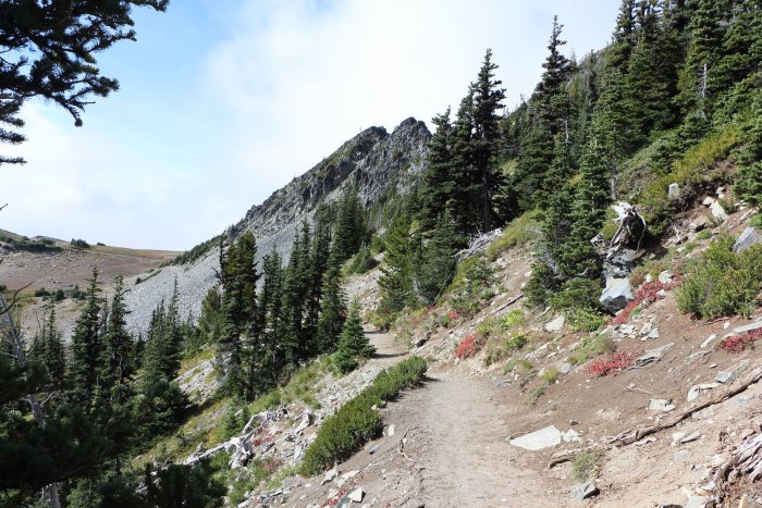 Sunrise Trail in Mt Rainier