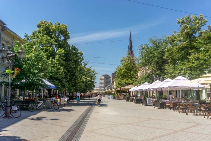 Zmaj Jovina in Novi Sad