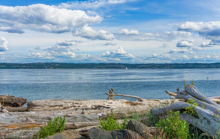 View of West Seattle from Vashon Island