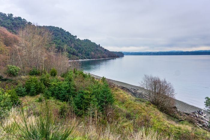 Vashon Island Shoreline