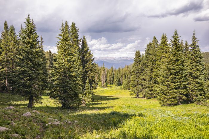 Holy Cross Wilderness