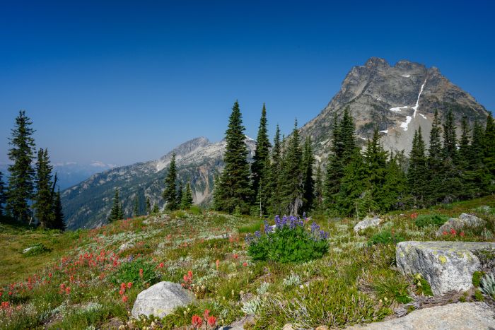 Hiking along the Maple Pass Trail