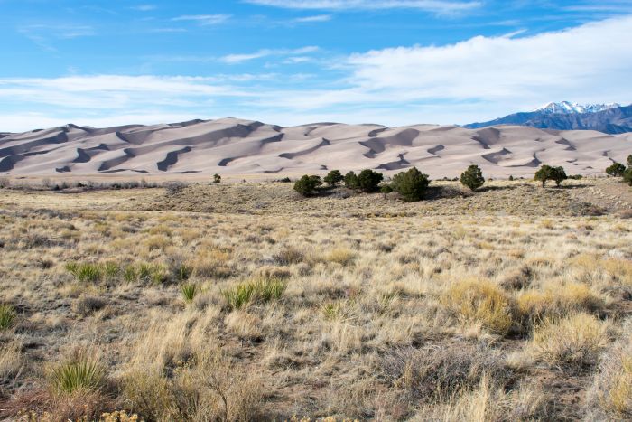 The Great Sand Dunes