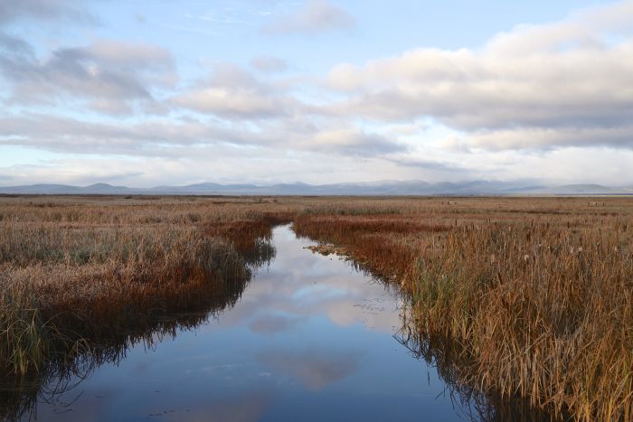 Klamath Marsh