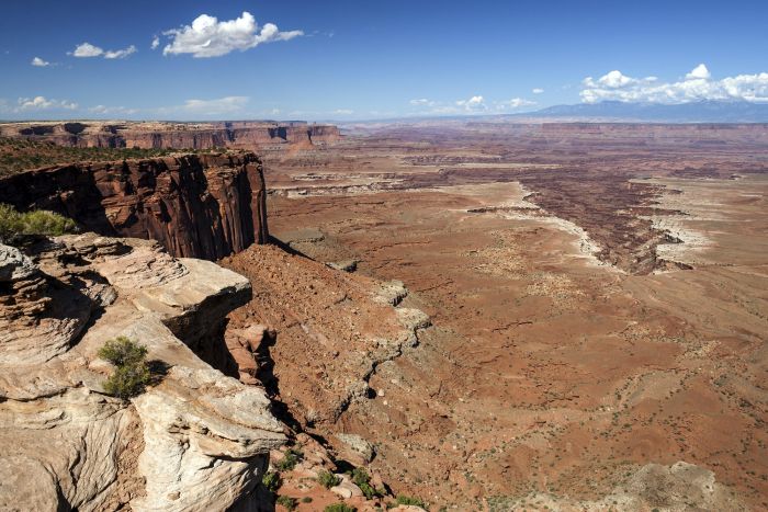 View from Buck Canyon Overlook