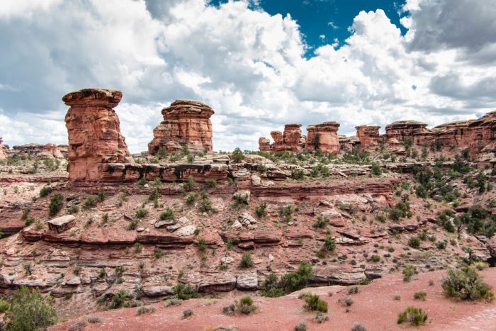 The Needles in Canyonlands National Park
