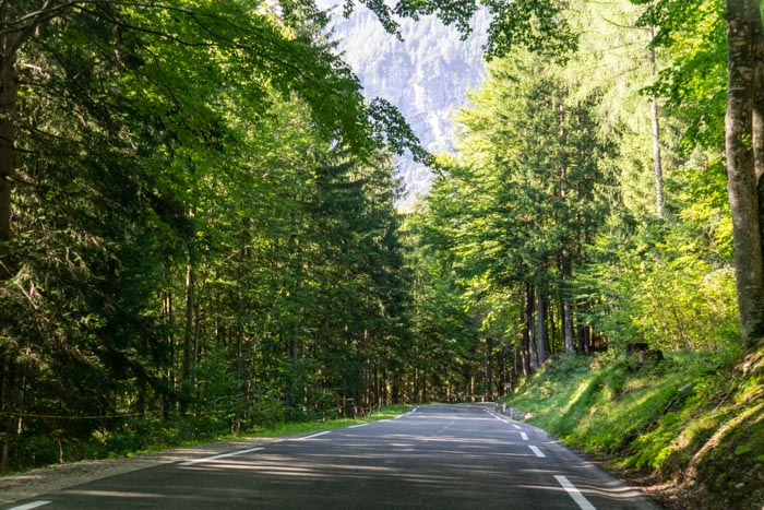 Driving through dense forest on the Vrsic Pass